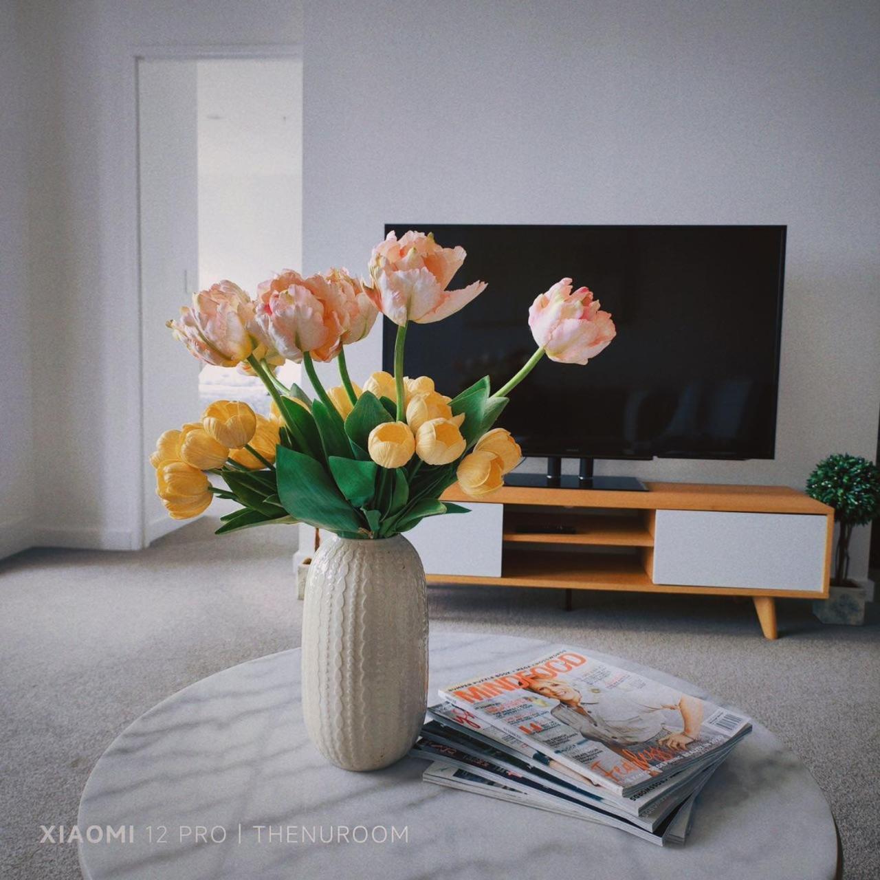 Auckland Birkenhead Bnb Esterno foto